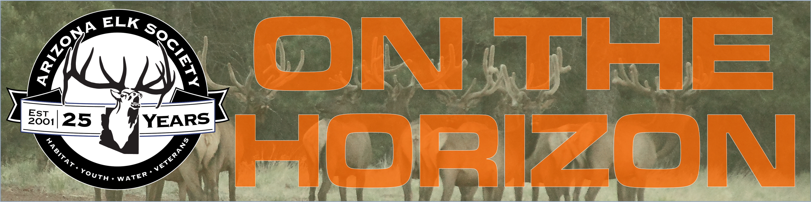 ON THE HORIZON web banner 01