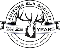 25th Anniversary AES Logo