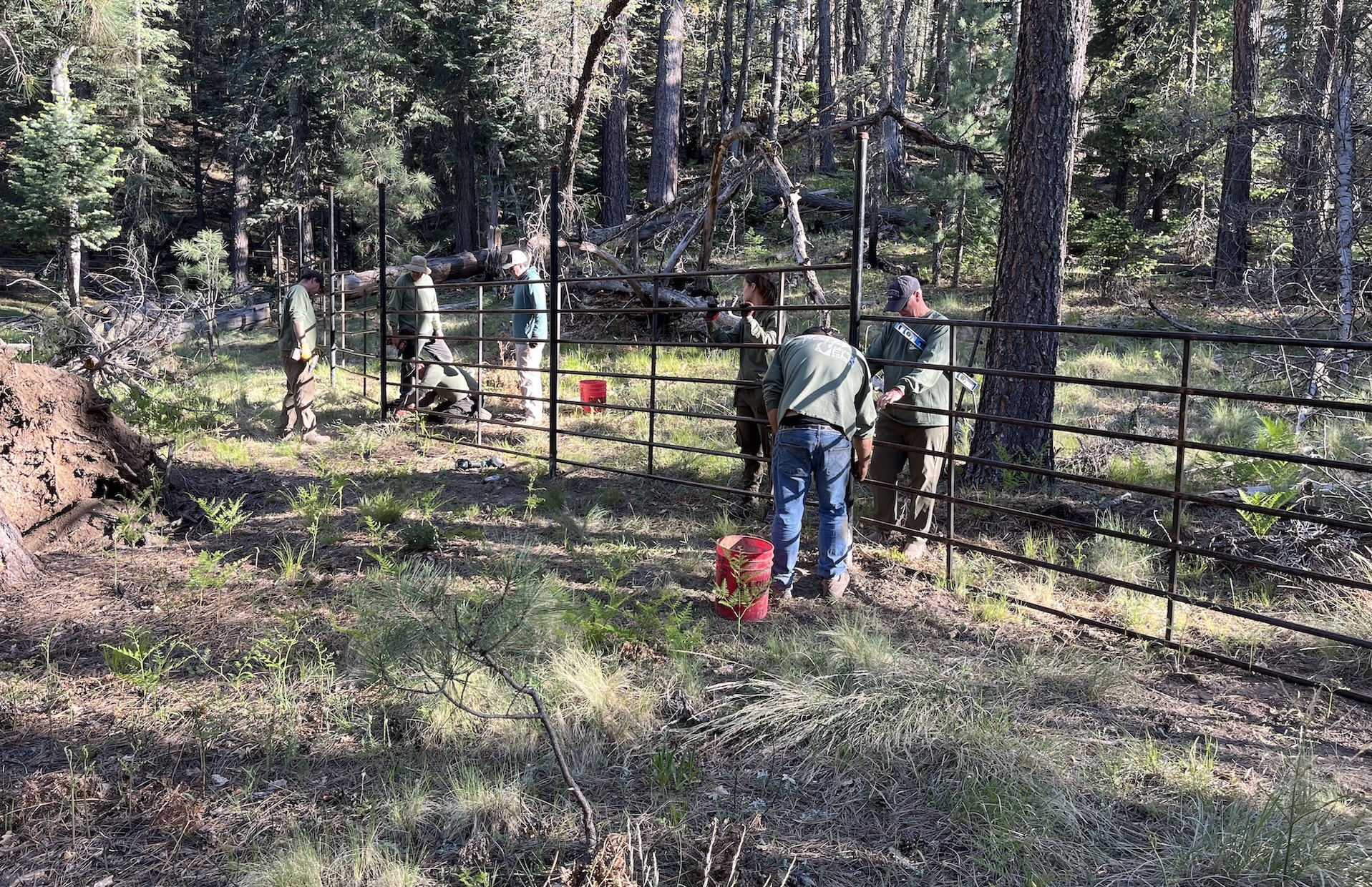 McFarland Springs   May 15 - 17