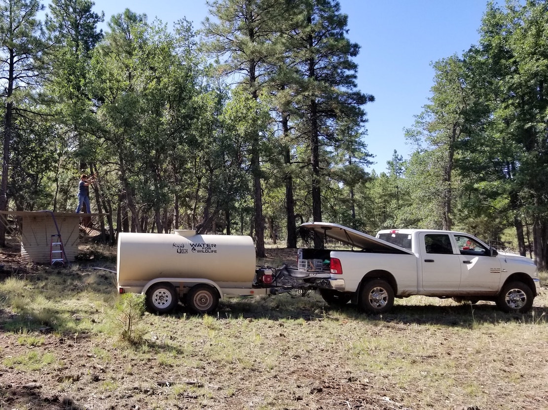 Water for Arizon's Wildlife
